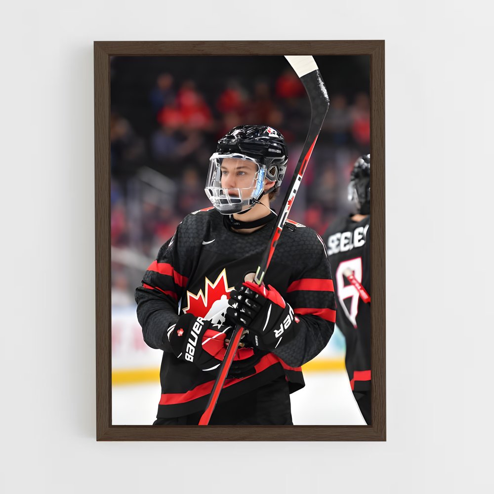 Poster Gardiens de Glace – affiche Hockey sur glace (vue 5)